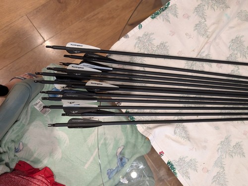 12pcs archery carbon - 12pcs, arrow